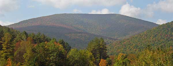 Balsam Mountain Ulster-County NY Northeastern Chimney