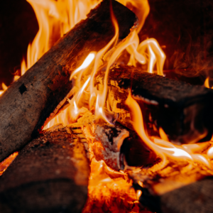 a close up view of wood logs burning