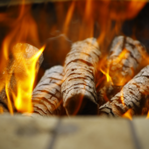 wood logs burning