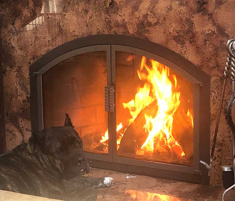 Northeastern Chimney - Dog in front of Fireplace